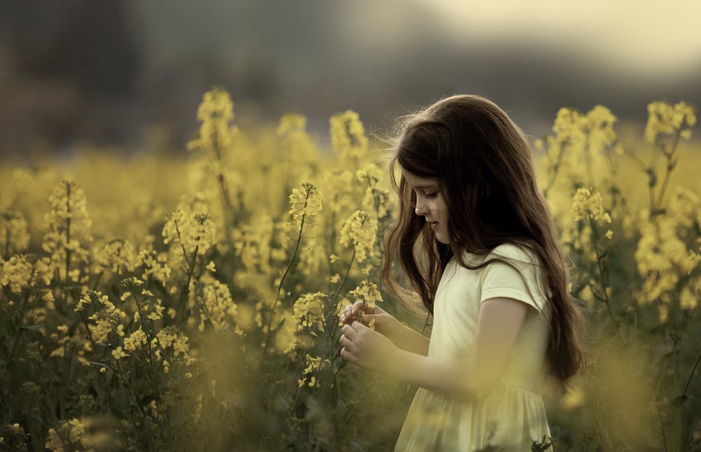 Фотография автора Olga Tikhonova