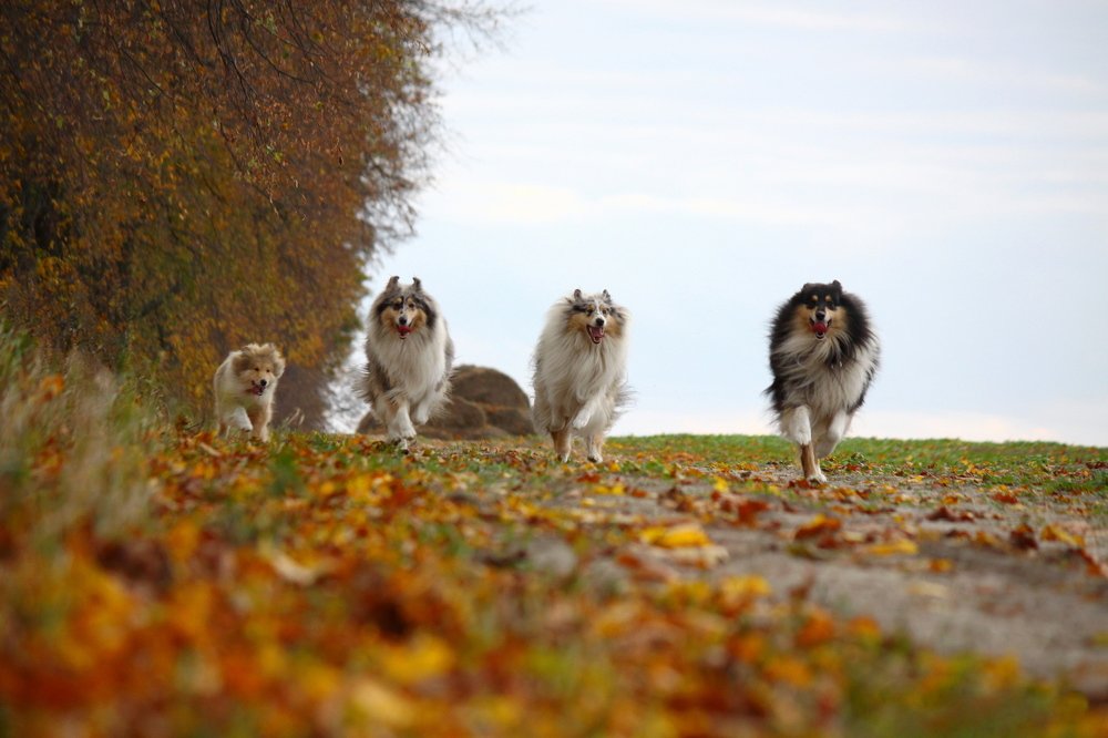 Photograph by Олег