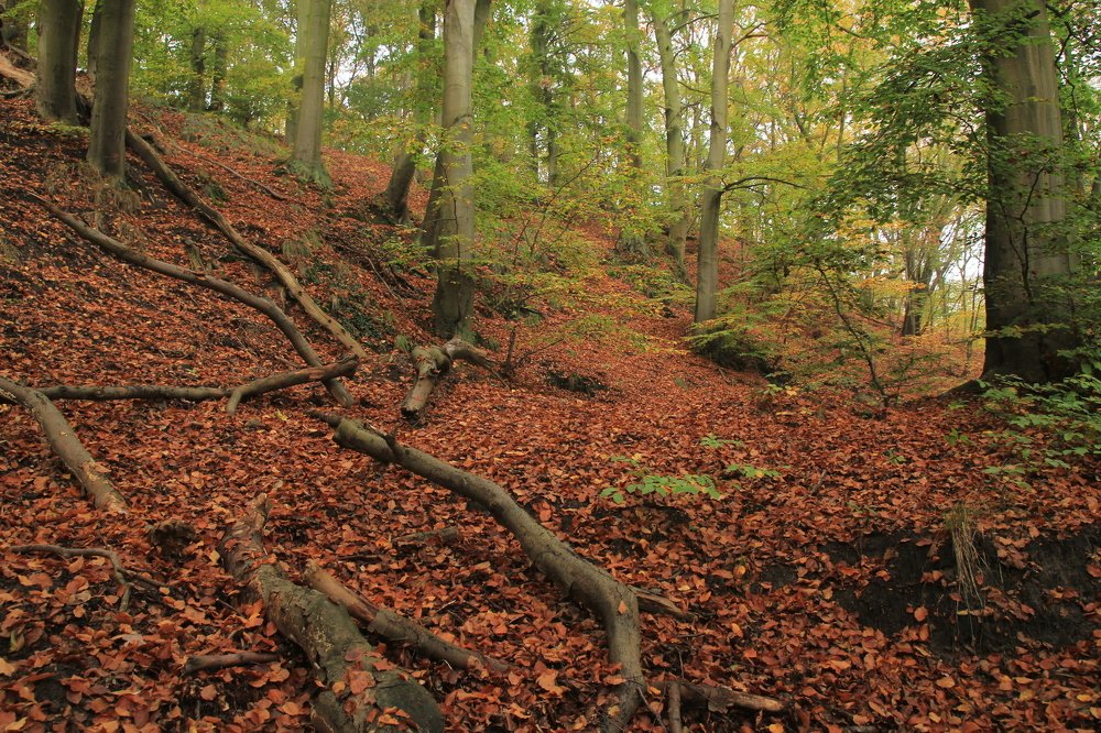 Photograph by Barbara Podlecka