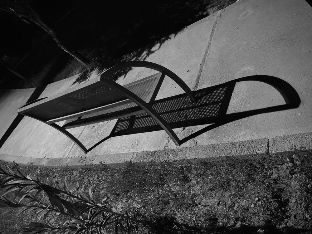 Photograph by Navid Matrian pour