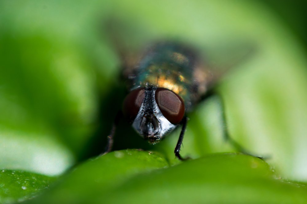 Фотография автора Jose Marcos Carvajal Tarazona