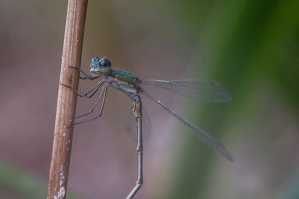 Photograph by Влад Михневский