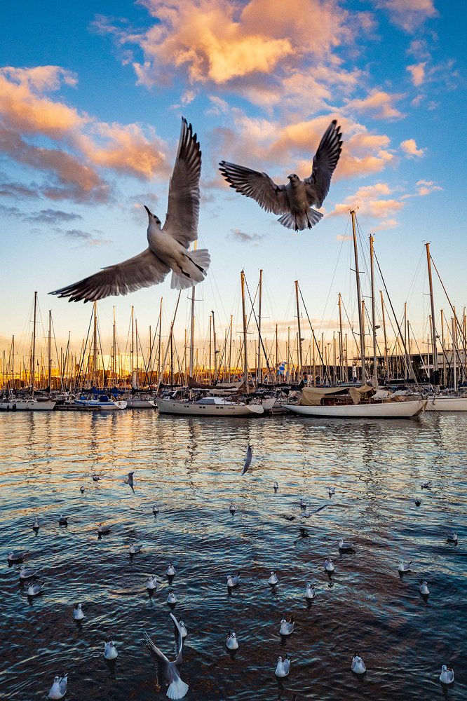 Photograph by Алексей Трифонов