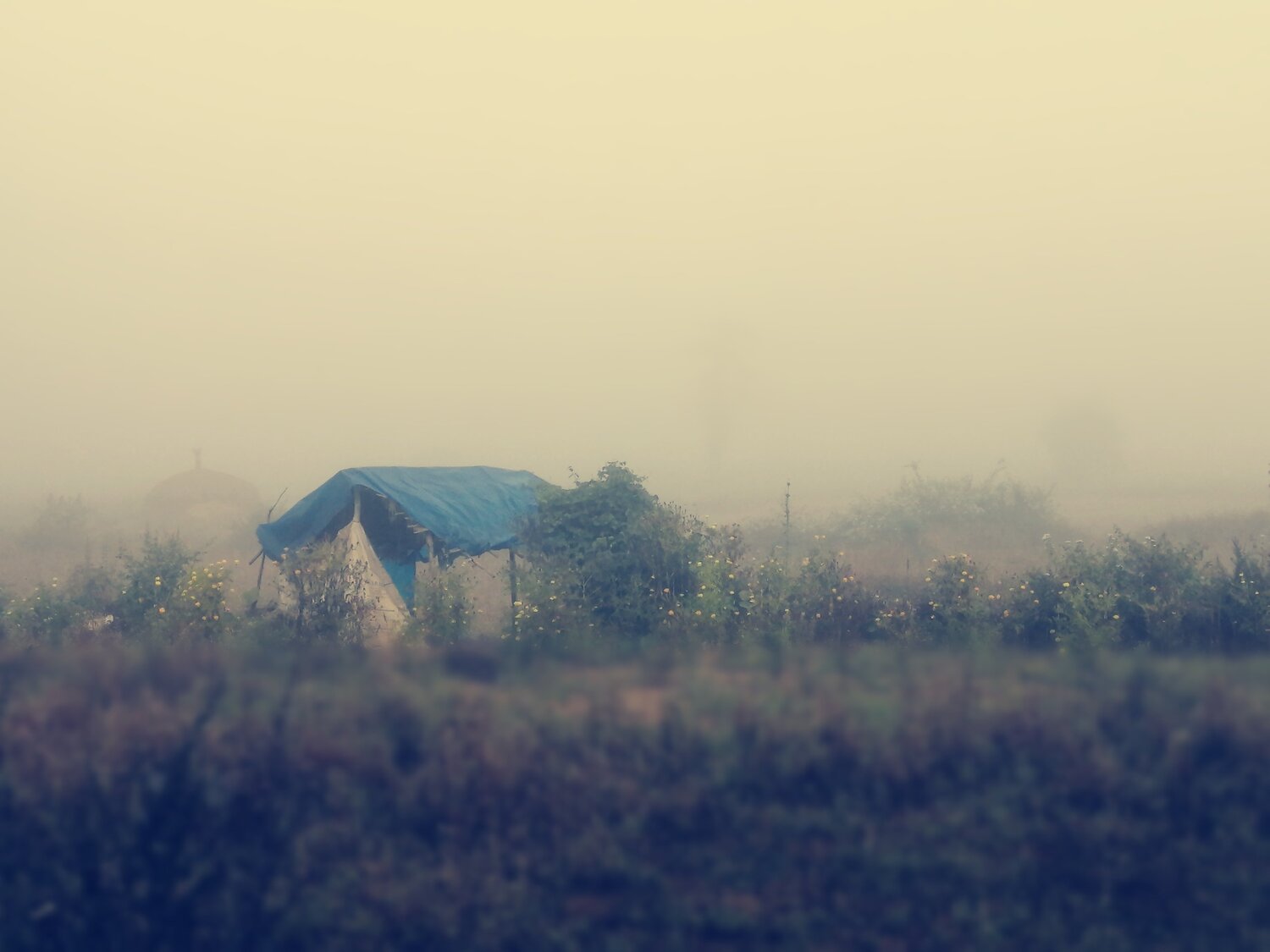 A morning image of rural site