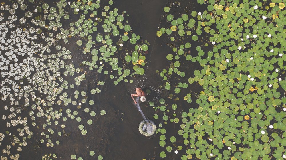 Фотография автора Lahiru Sihina