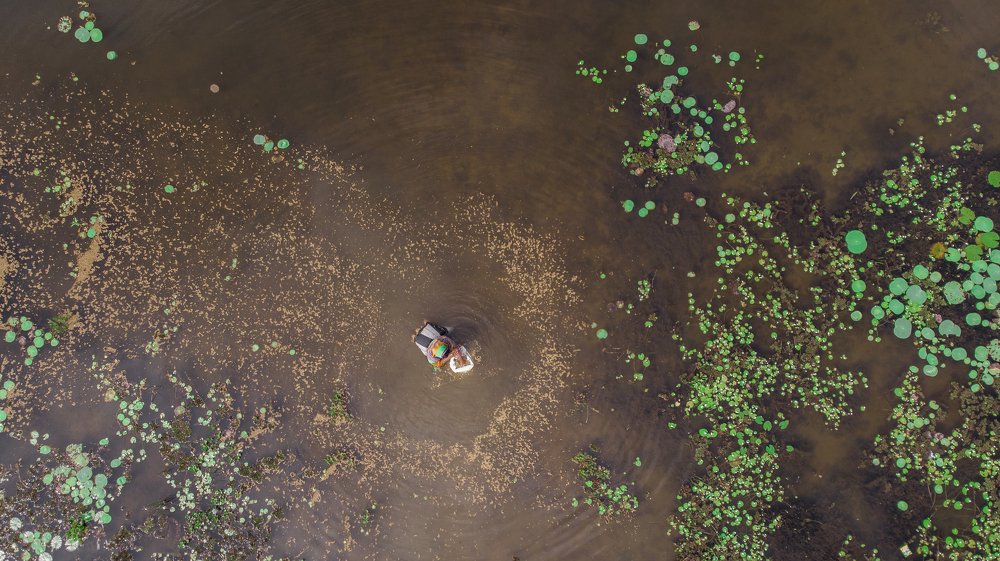 Фотография автора Lahiru Sihina