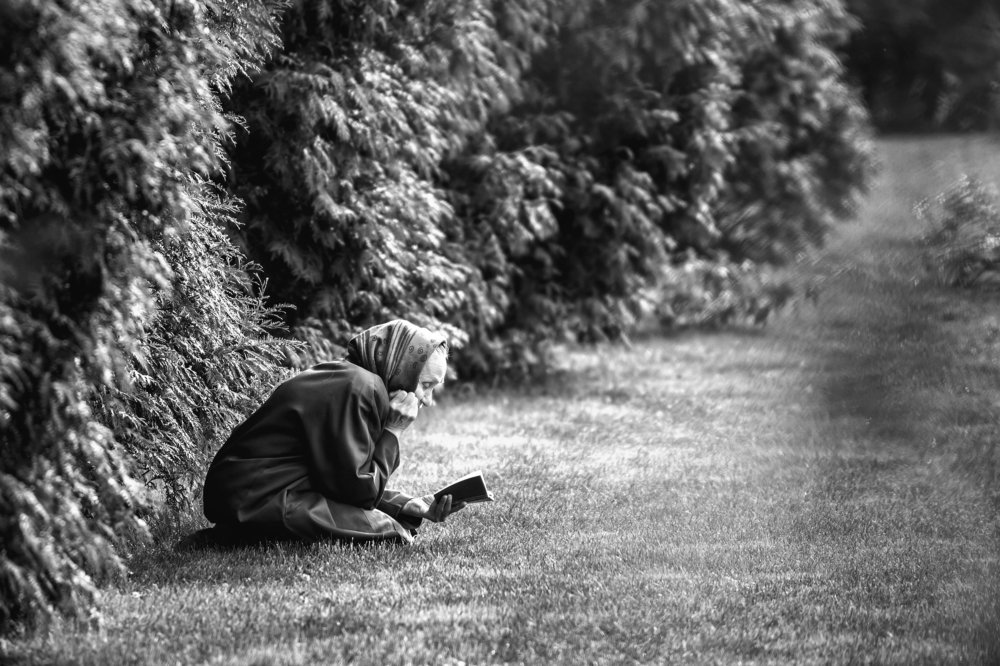 Photograph by Жан Гаспарян