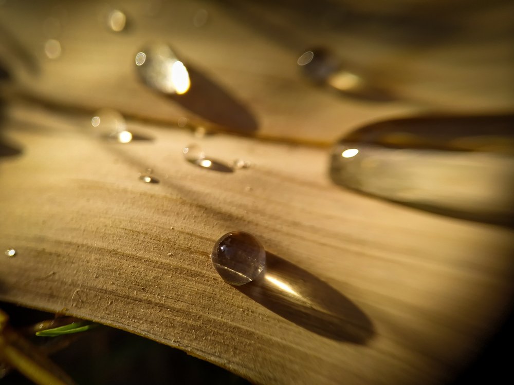 Photograph by Dian Putera