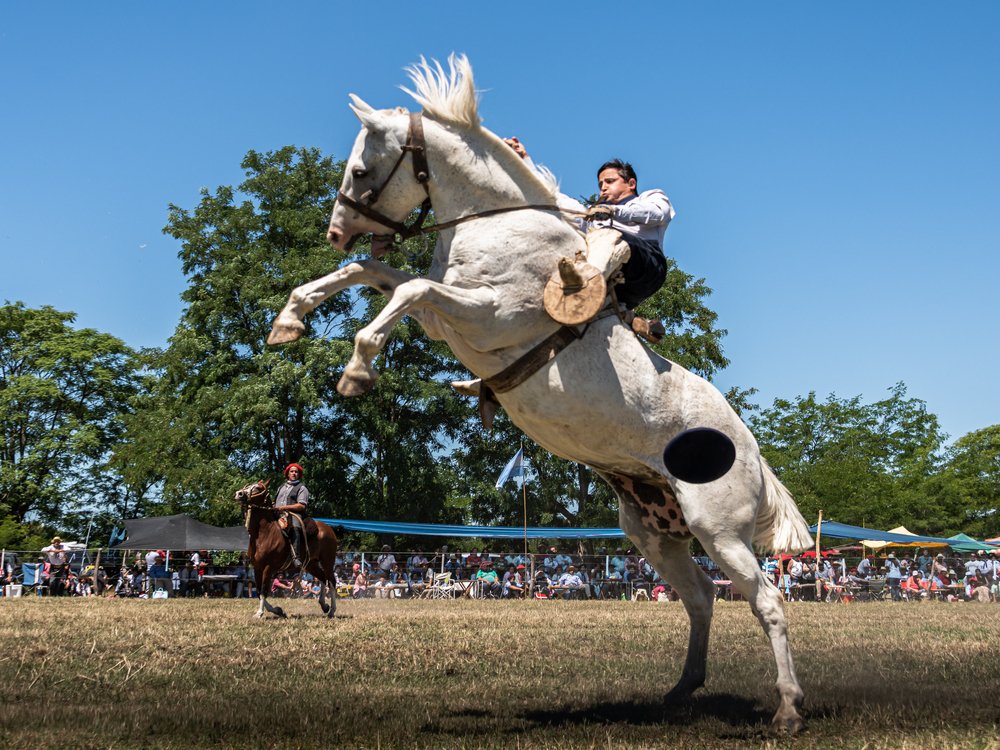 Photograph by Gustavo Moroz