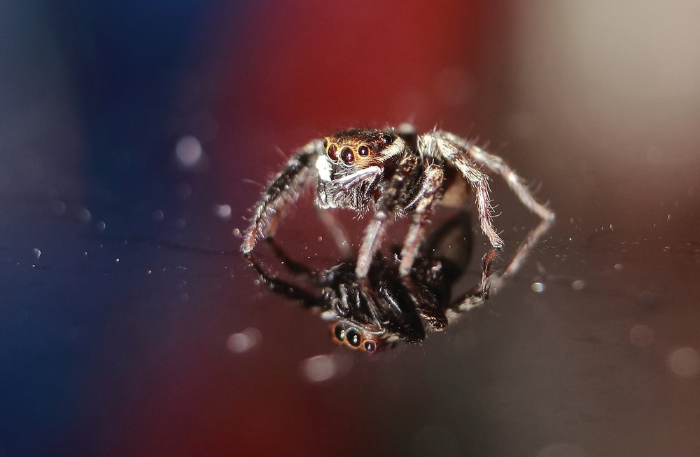 Photograph by Yusuf Buchari