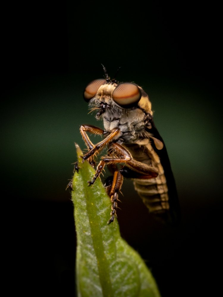 Photograph by Nestor Monsalve