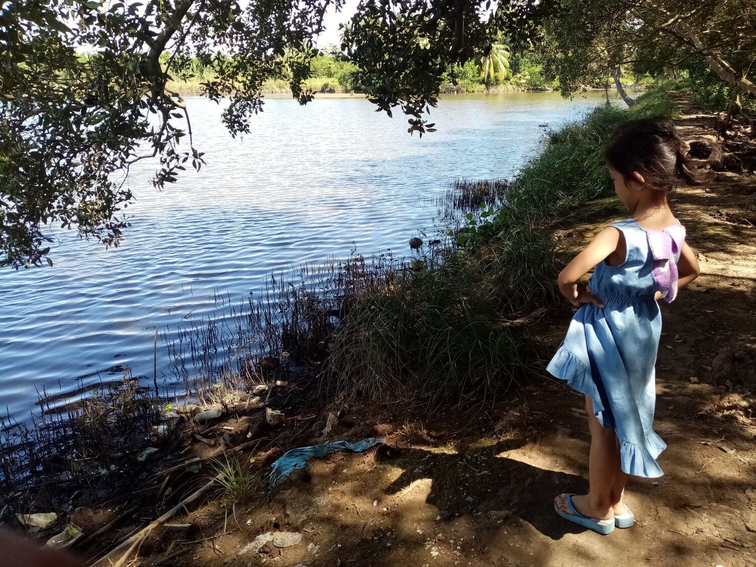 Baby Wafer and the fishpond