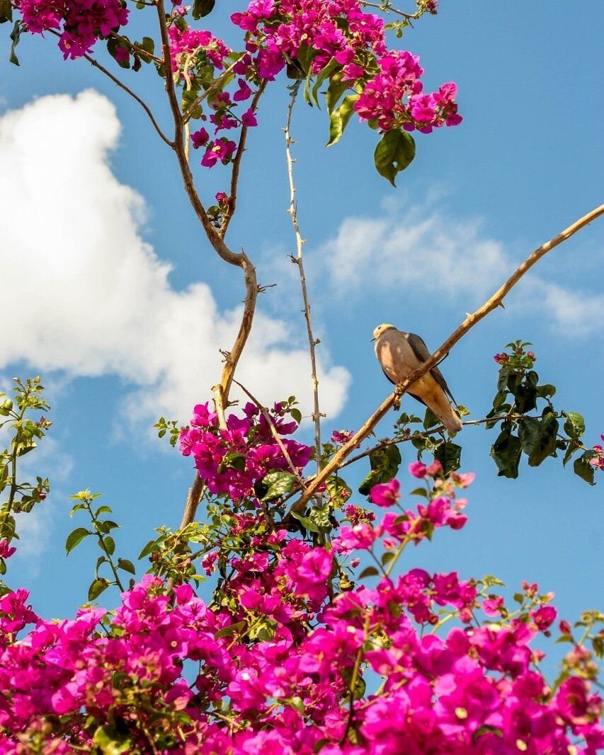 Photo #4086343