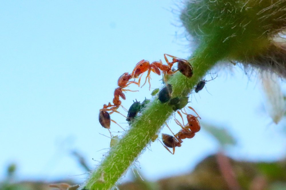 Photograph by Miona Lee