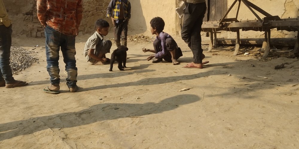 Photograph by Jeeshan ahamad