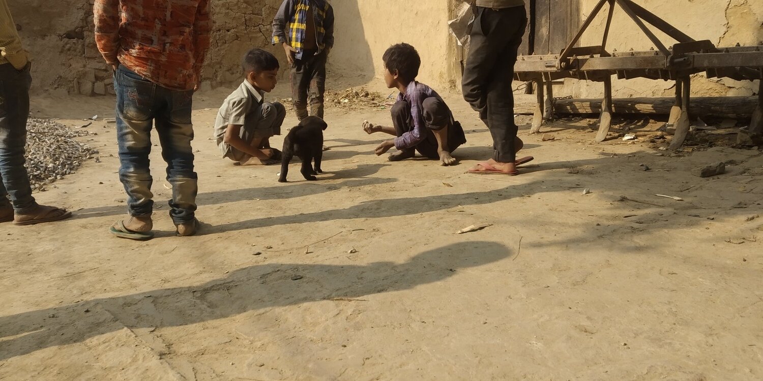 Photo #4086411