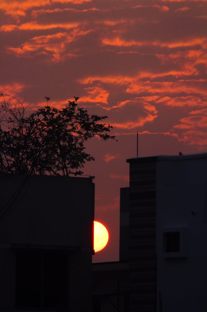 Photograph by Akash Shakibul