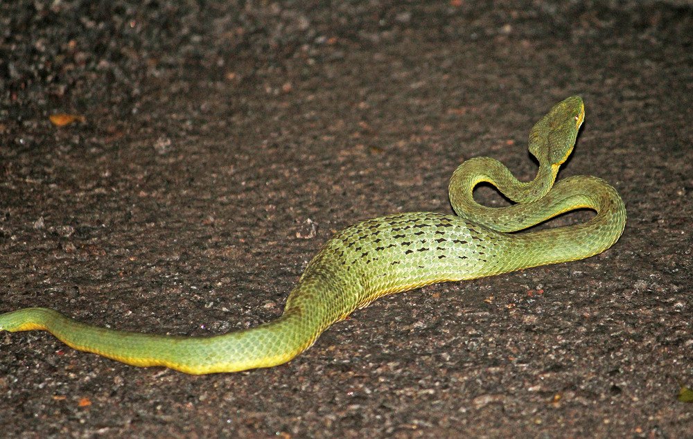 Photograph by subhash purohit