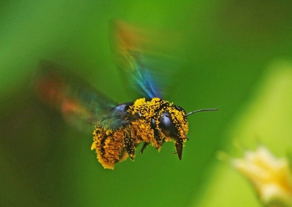 Photograph by subhash purohit