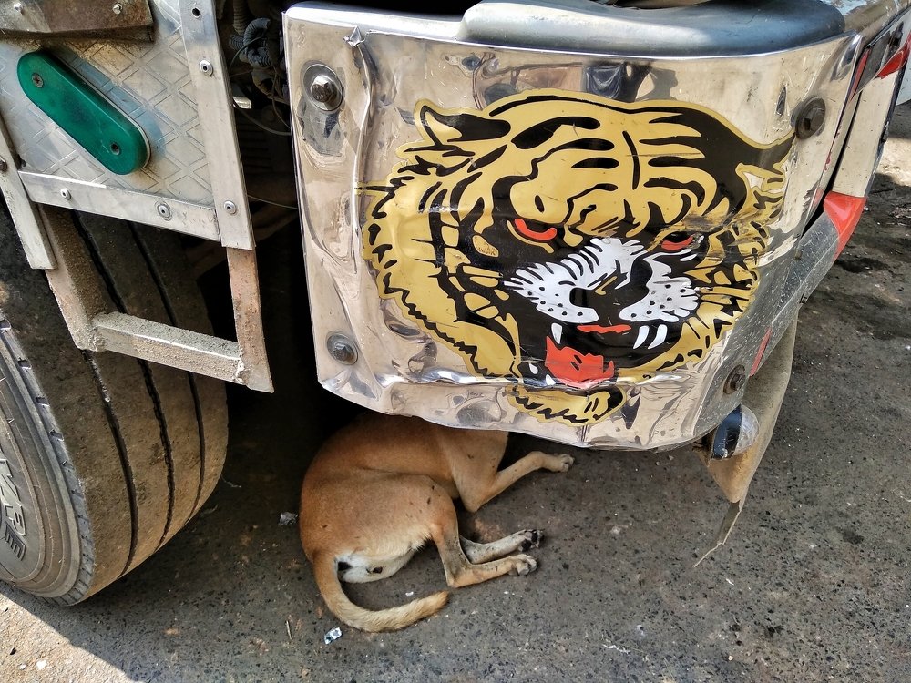 Photograph by Arpan Biswas