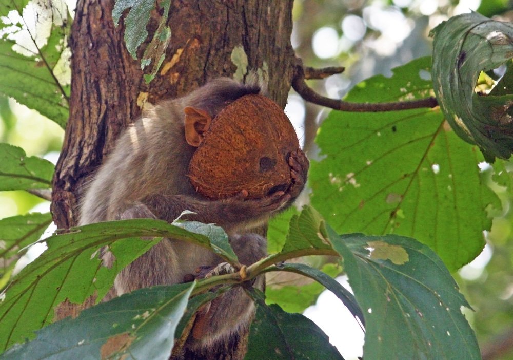 Photograph by subhash purohit