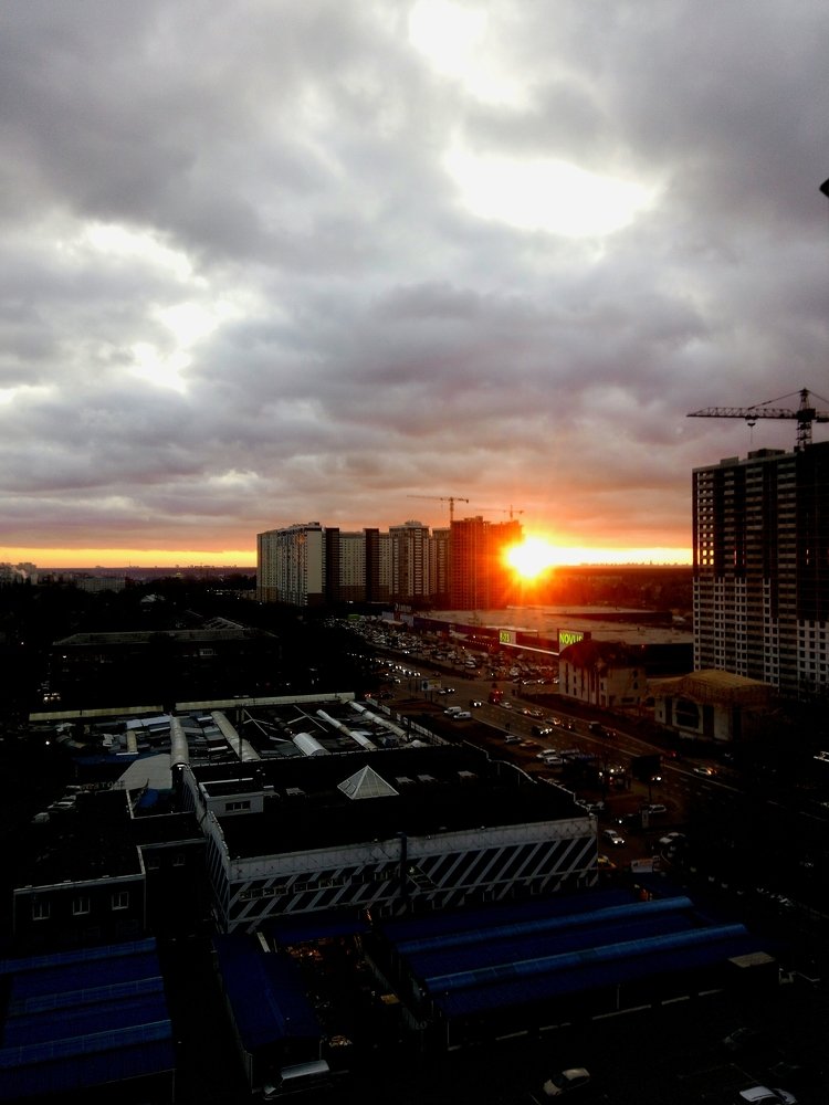 Photo #4086668