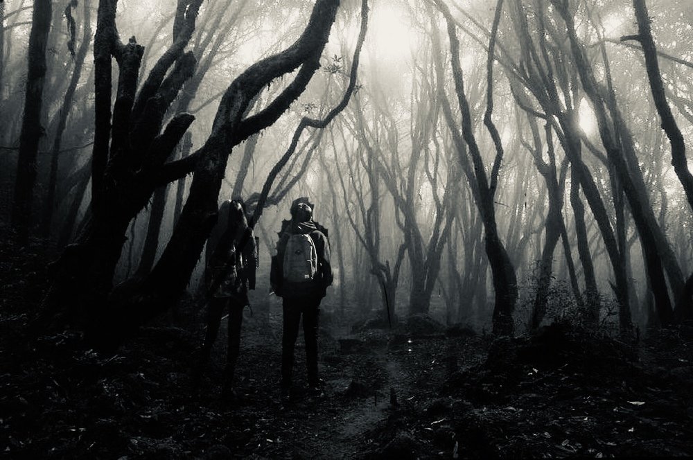 Photograph by Ahsan Ishtiaq