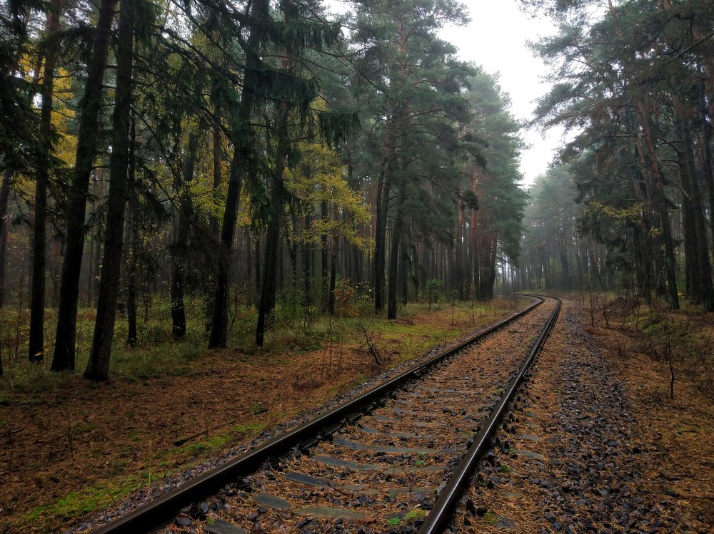 Photograph by Вячеслав Рудинский