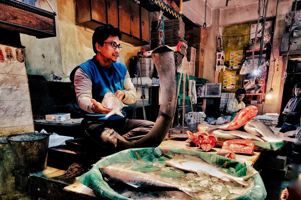 Photograph by Alipriya Ghosh