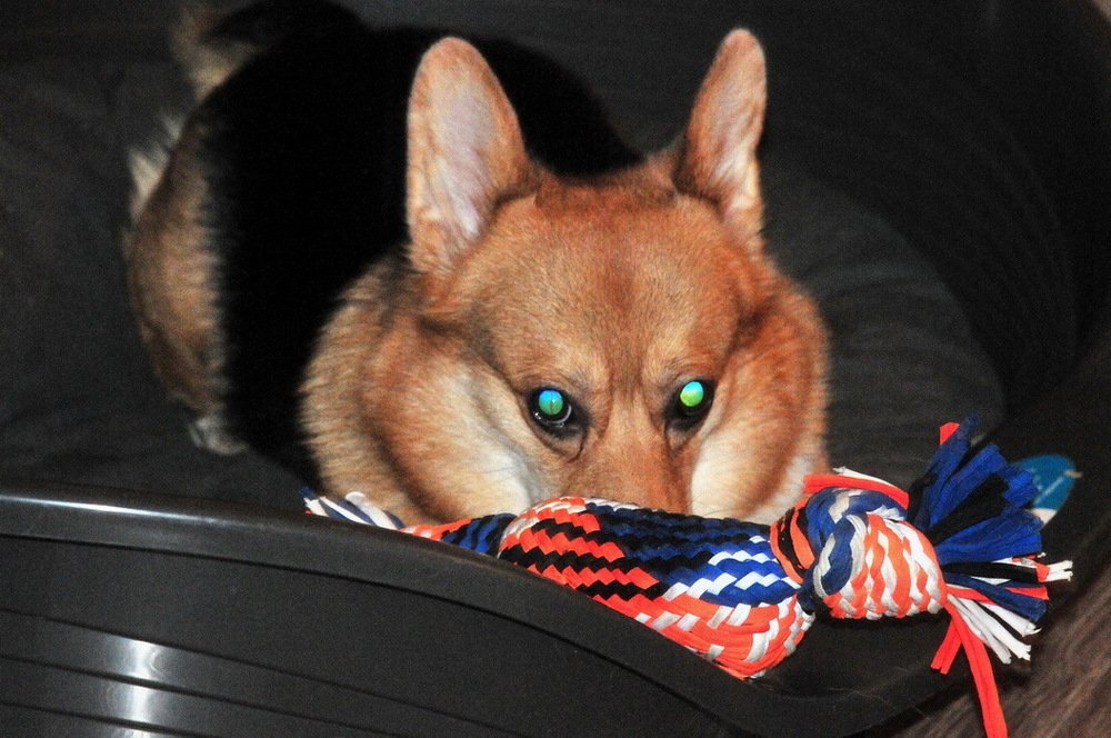 Photograph by Николай Турский