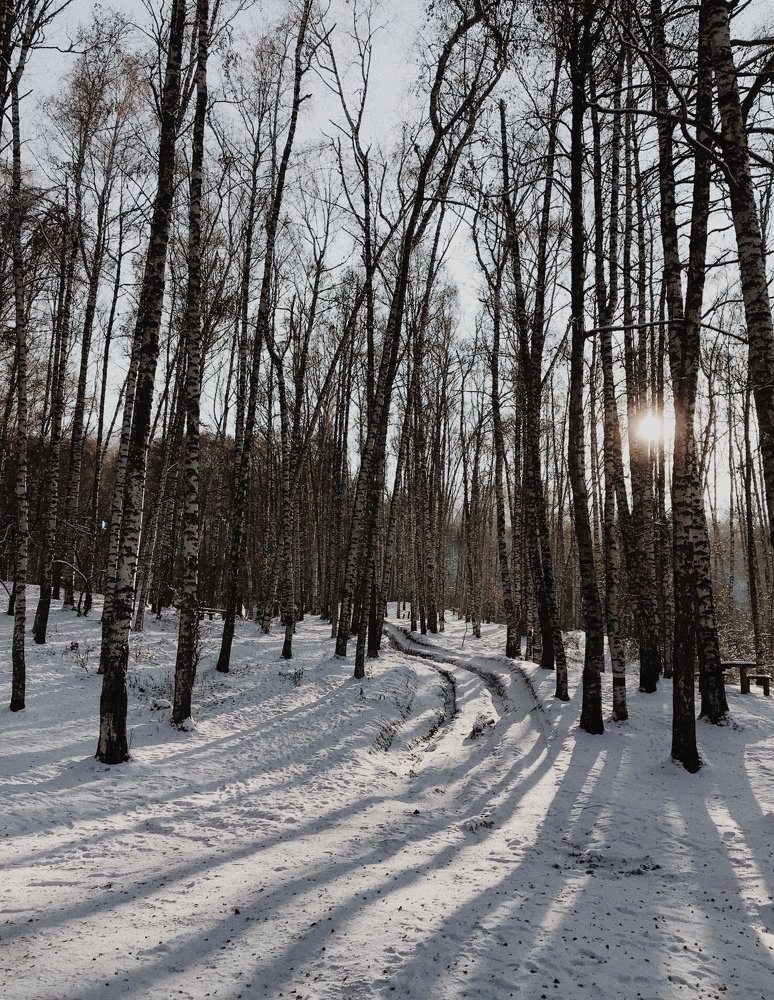 Photograph by Индира Кузнецова