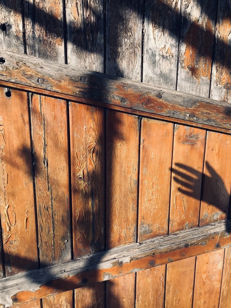 Photograph by Индира Кузнецова