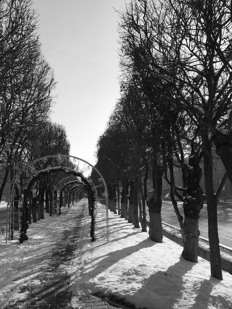 Photograph by Индира Кузнецова