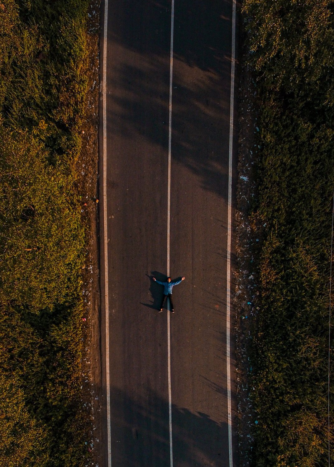Photo #4086835