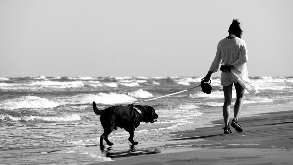 Photograph by Tudor Cotitosu