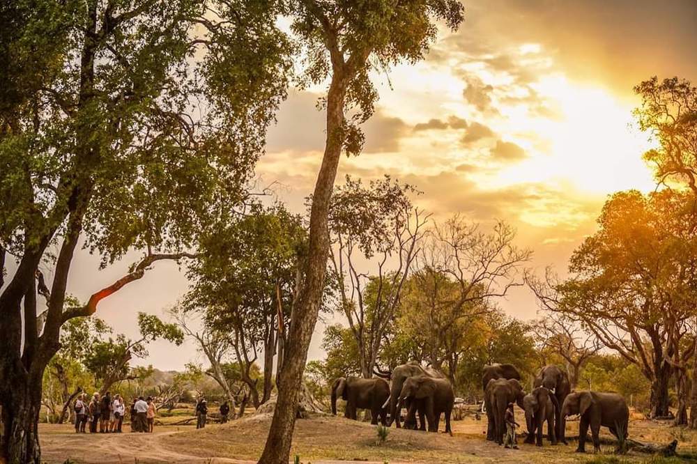 Photograph by Moses Mtonga