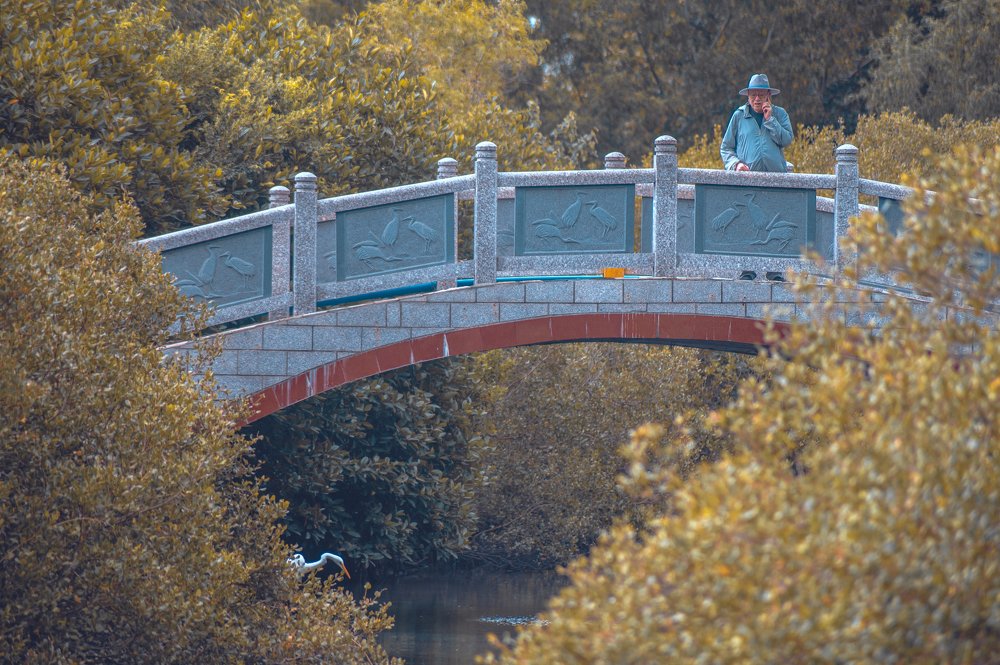 Фотография автора Эдуард Тихонов