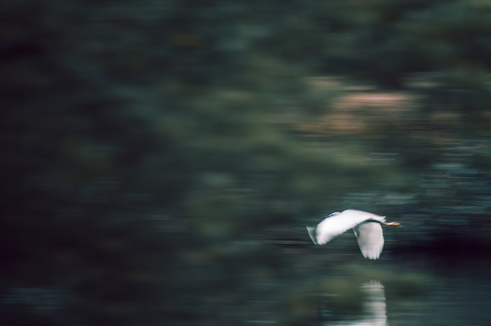 Фотография автора Эдуард Тихонов