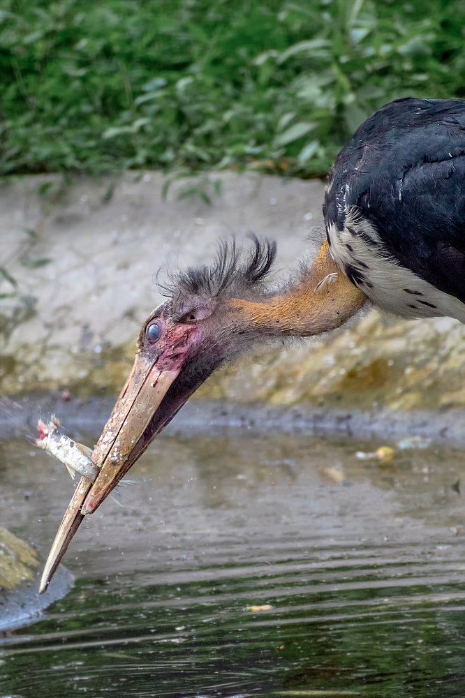 Photograph by Deep Choudhury