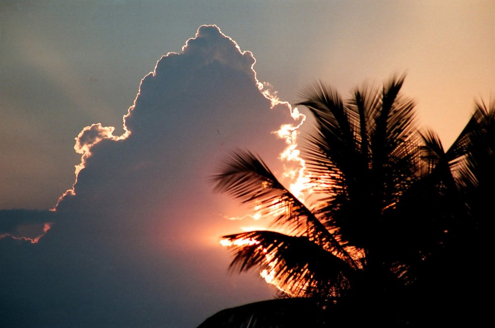 Photograph by subhash purohit