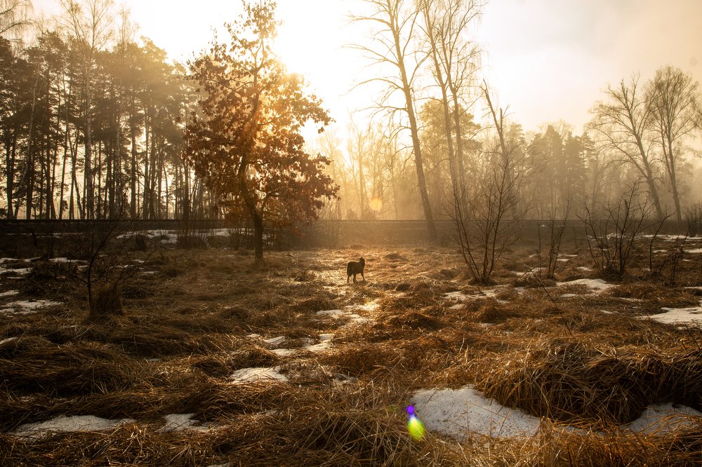 Photograph by Тимофей Бутов