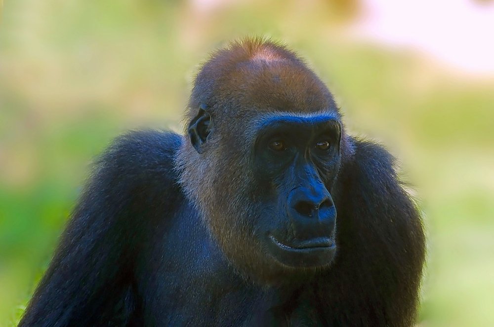 Photograph by Владислав Айзенберг