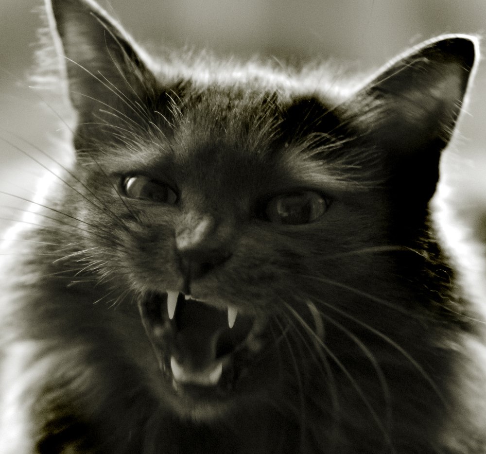 Photograph by Андрей Потапов