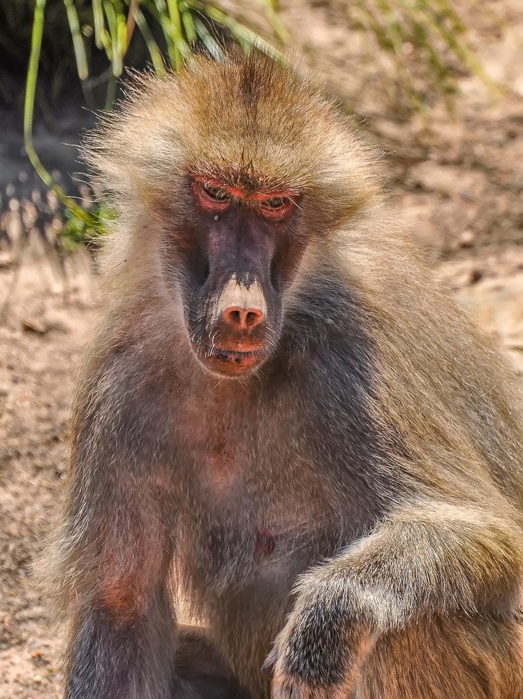 Photograph by Зоя Куренкова