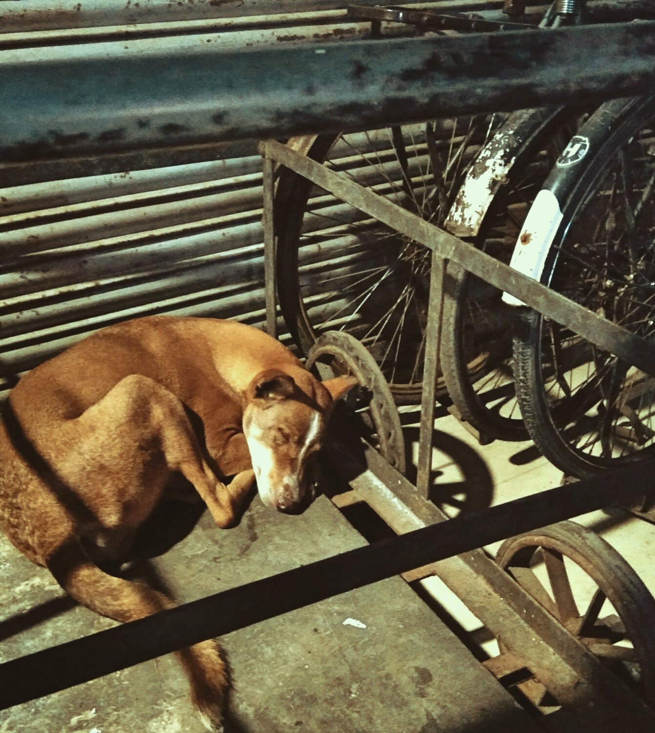 Photo #4087359