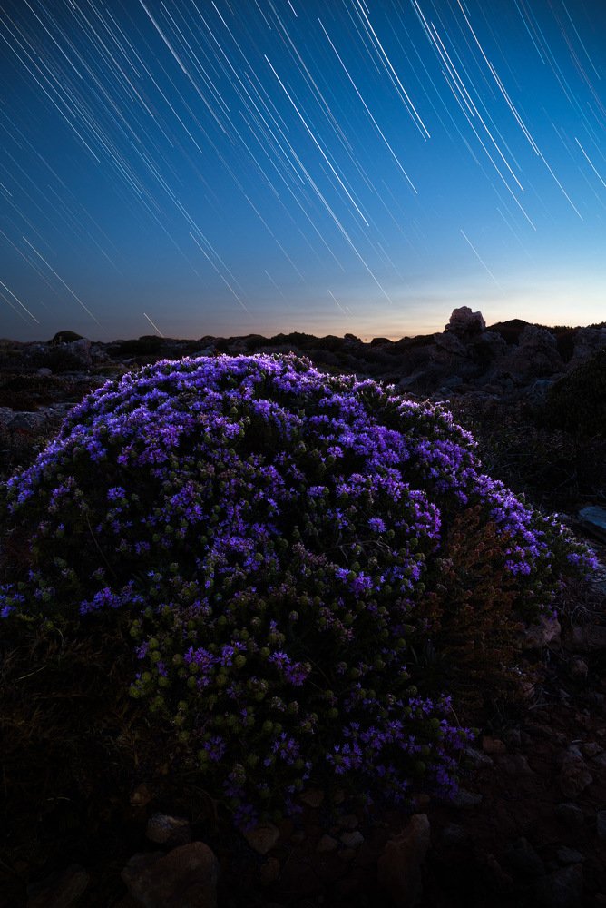 Photograph by Martin Galea