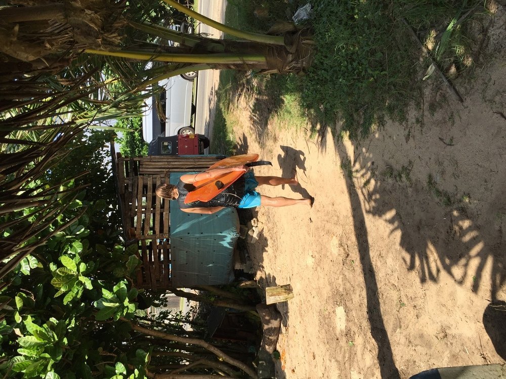 Photograph by Alvin Gomesz