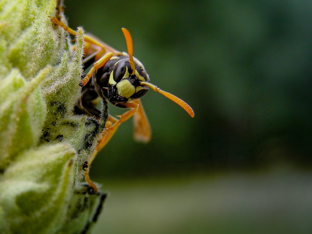 Photograph by Илья Куфко