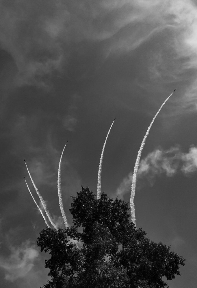 Взлетели птички