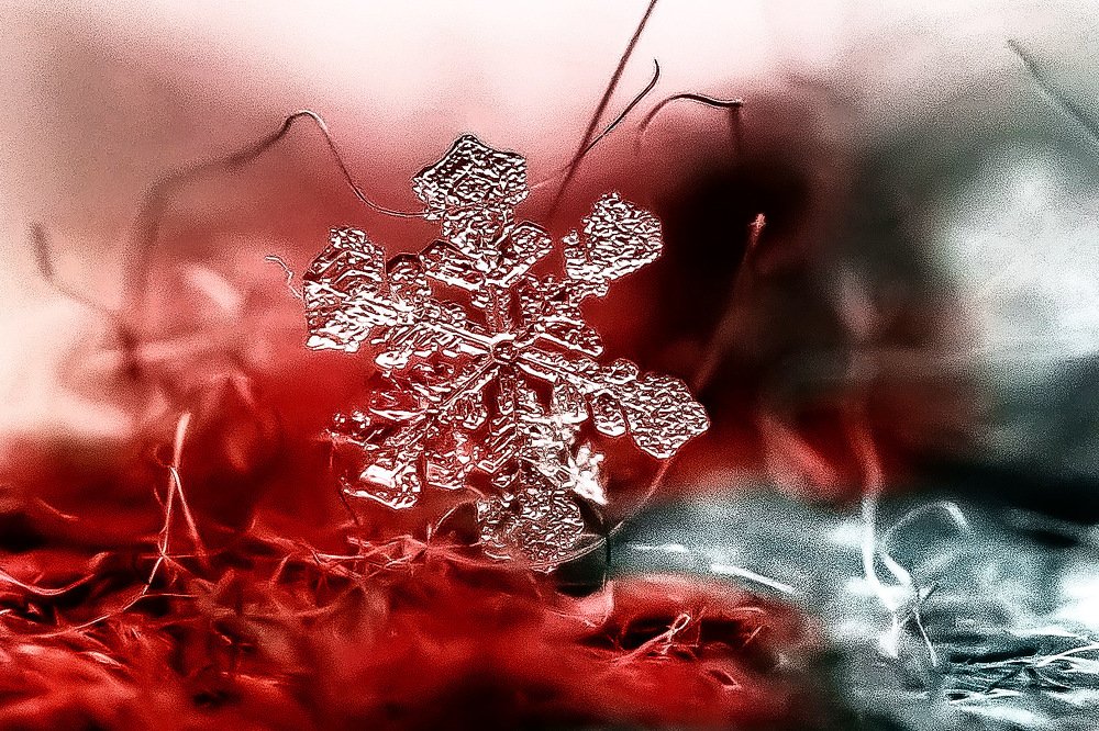 Хрустальное дитя зимы